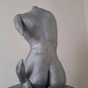 Silver Back 1 (2)
