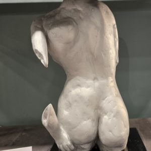 Silver Back (1)